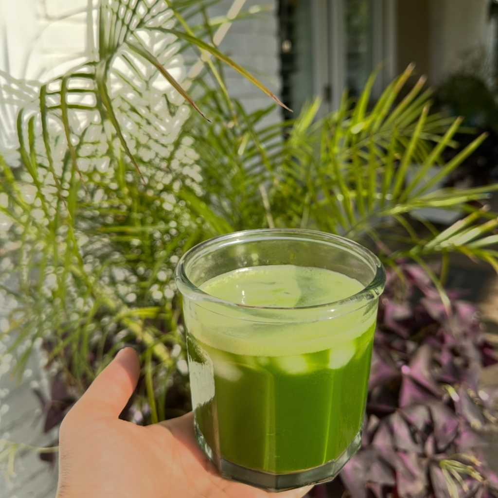 BIMI MATCHA KIYO FIRST HARVEST